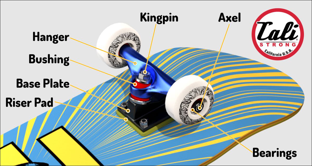 CALI Strong Basic Skateboard Buying Guide