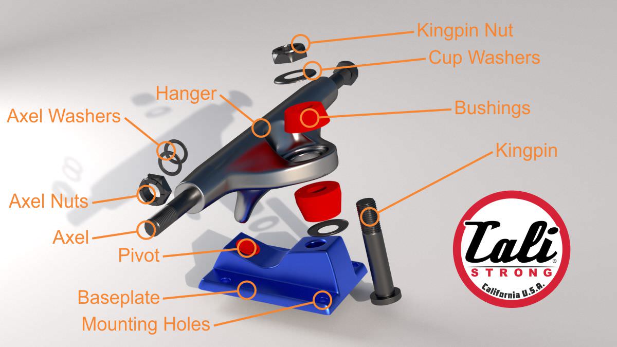 Skateboard Truck Parts Diagram - CALI Strong Skateboarding